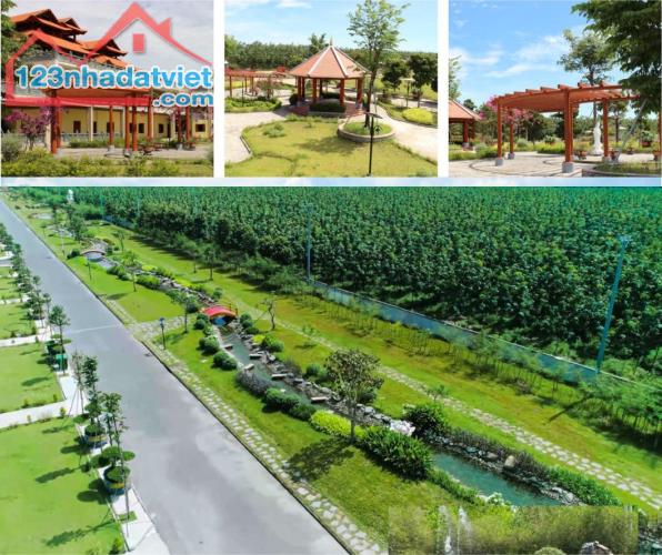 4148160 ảnh đại diện 1