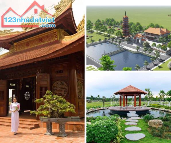 4148013 ảnh đại diện 1