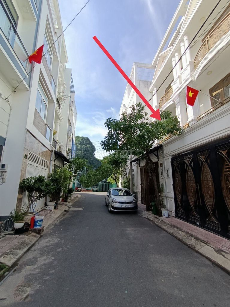 4149146 ảnh đại diện 1