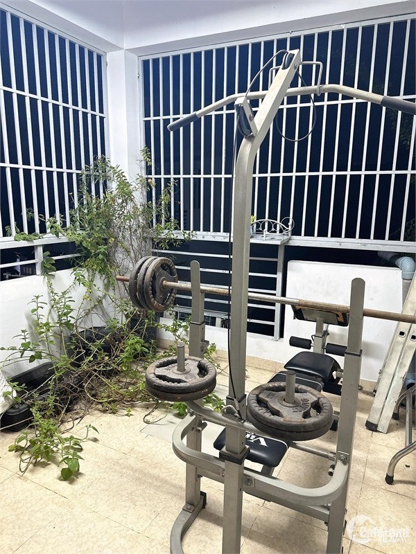 4153603 ảnh đại diện 2