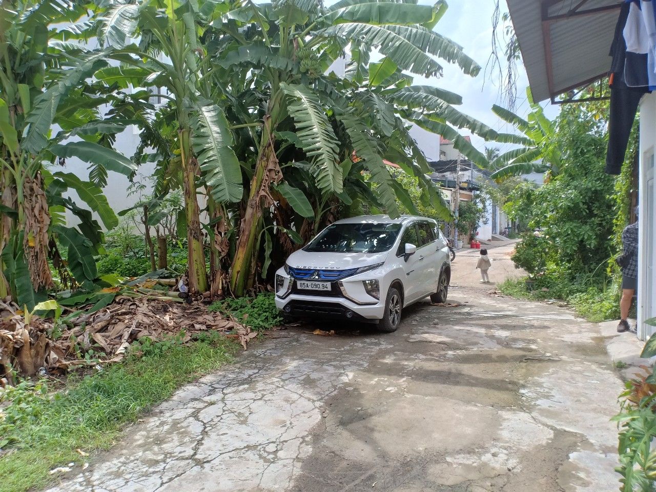 4152782 ảnh đại diện 2