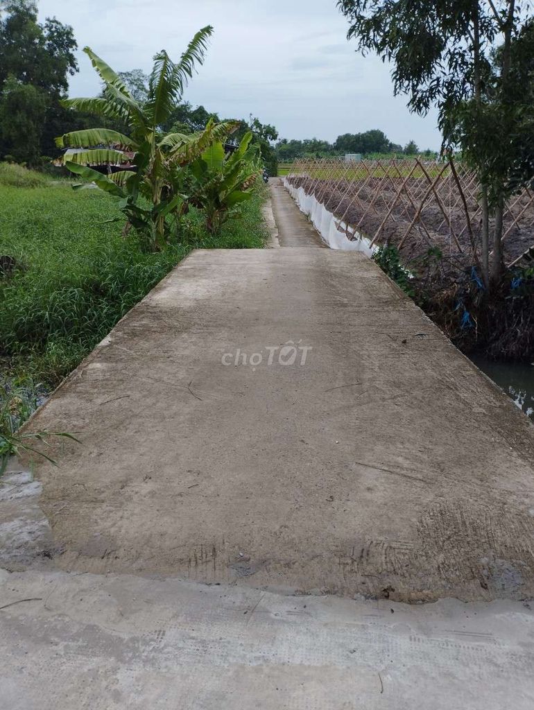 4151929 ảnh đại diện 1