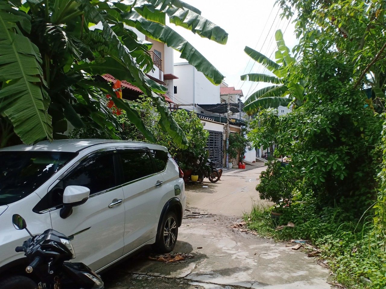 4152782 ảnh đại diện 1