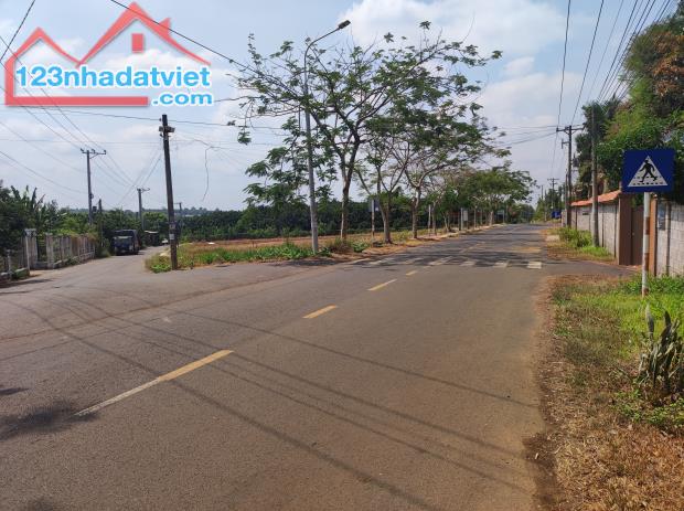 4150704 ảnh đại diện 2