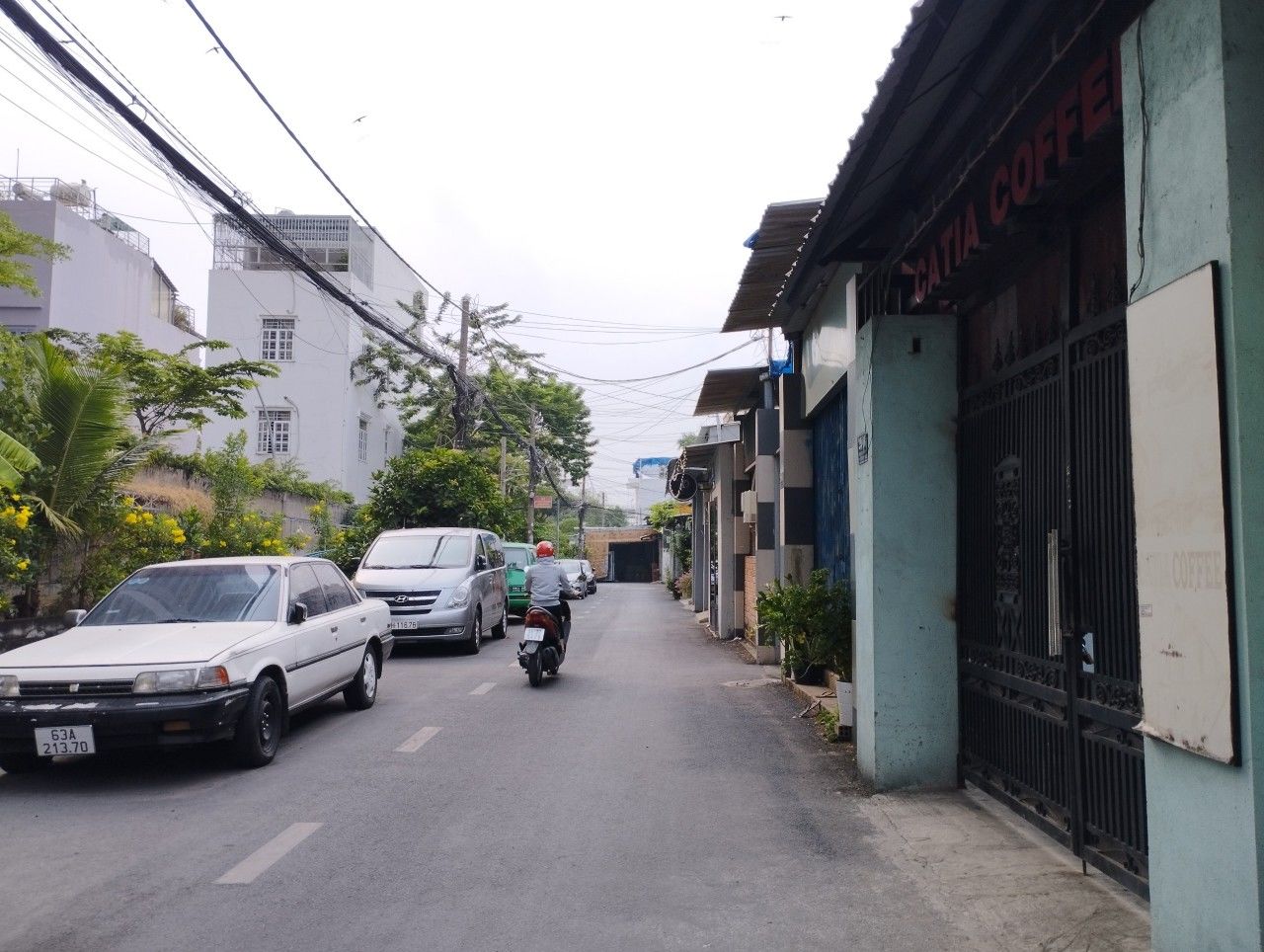 4152757 ảnh đại diện 1