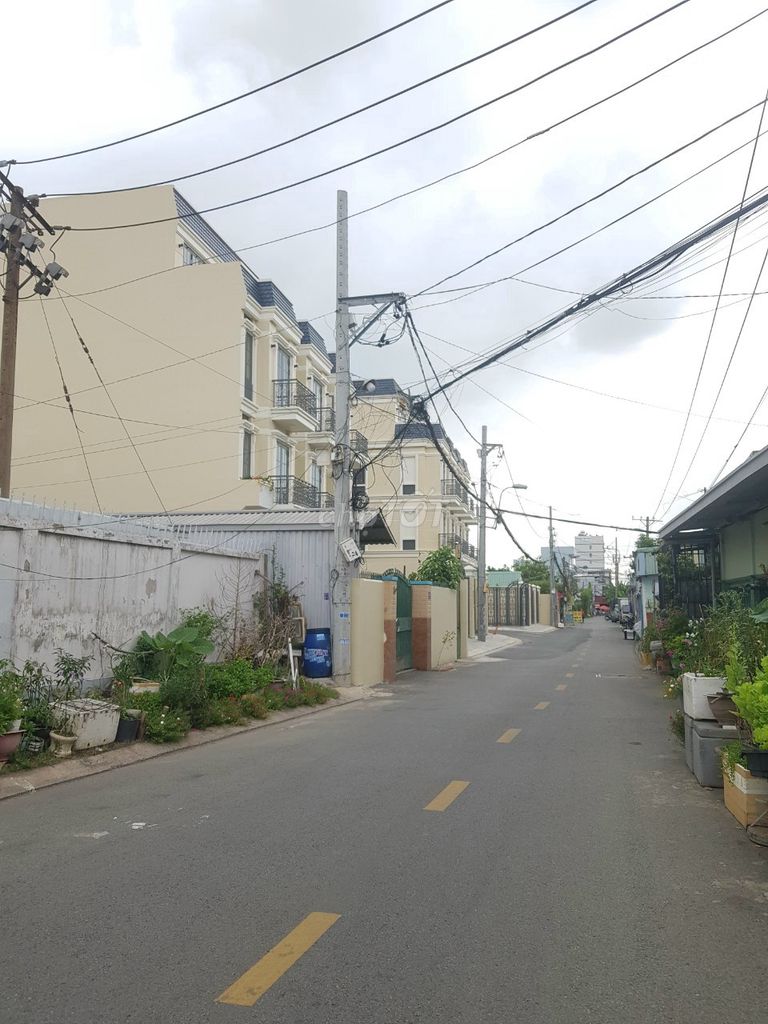 4151611 ảnh đại diện 2