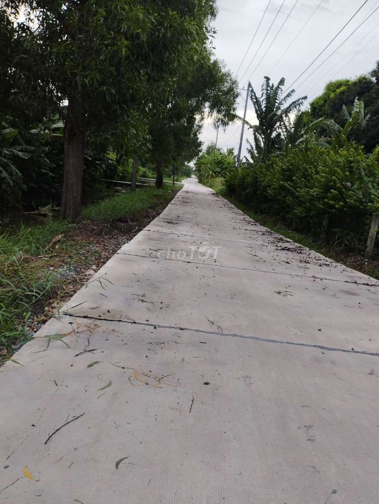 4151929 ảnh đại diện 2