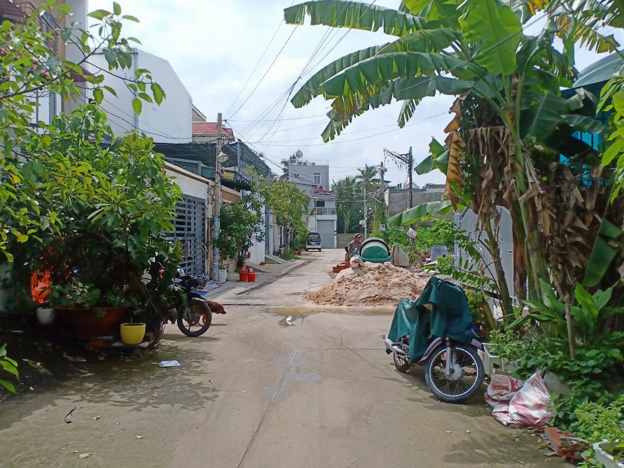 4152782 ảnh đại diện 1