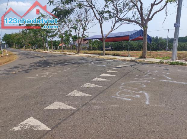 4150705 ảnh đại diện 1