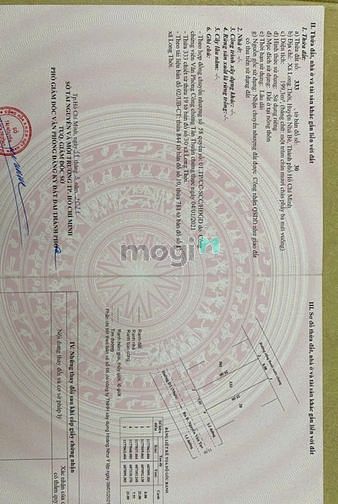 4150739 ảnh đại diện 1