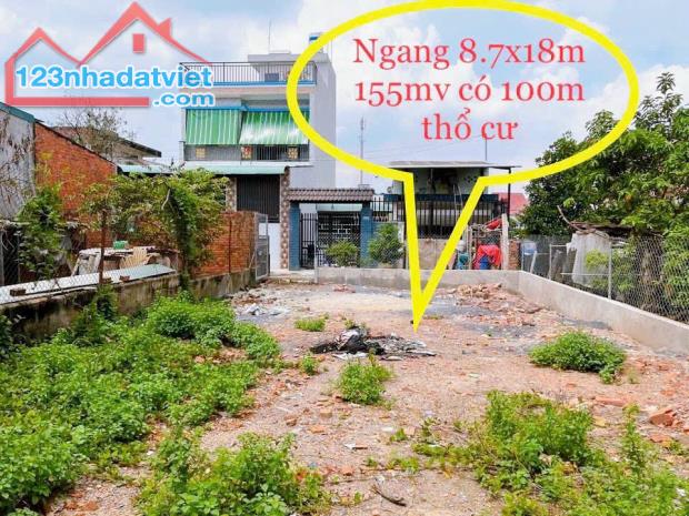 4150707 ảnh đại diện 1