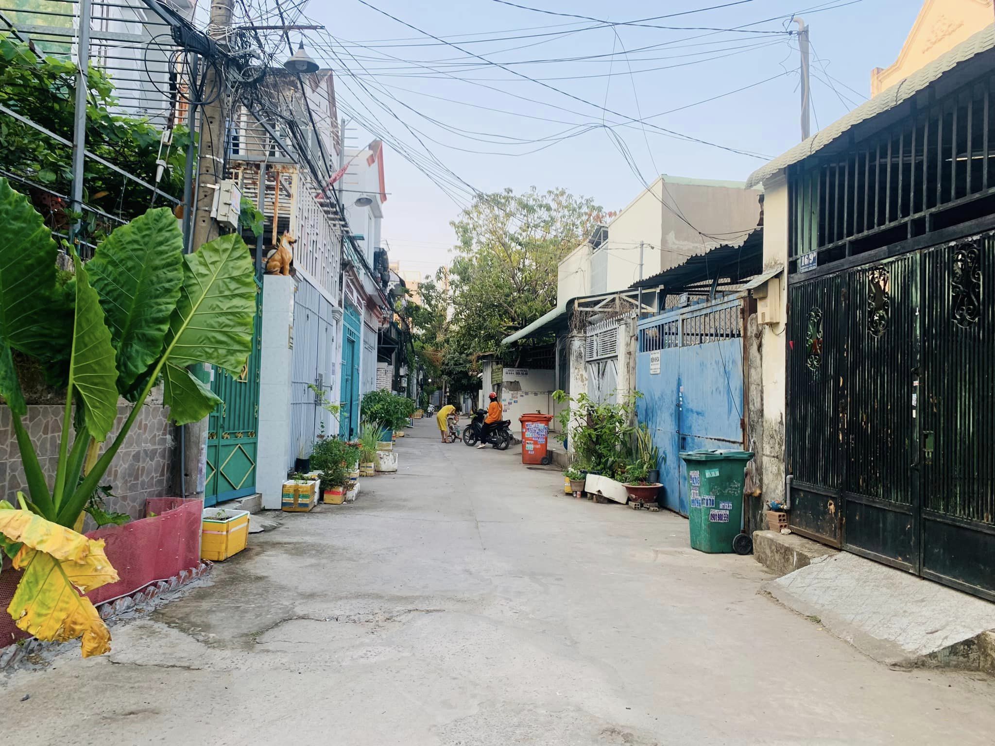4152747 ảnh đại diện 2