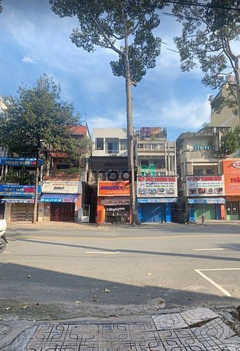 4151356 ảnh đại diện 1
