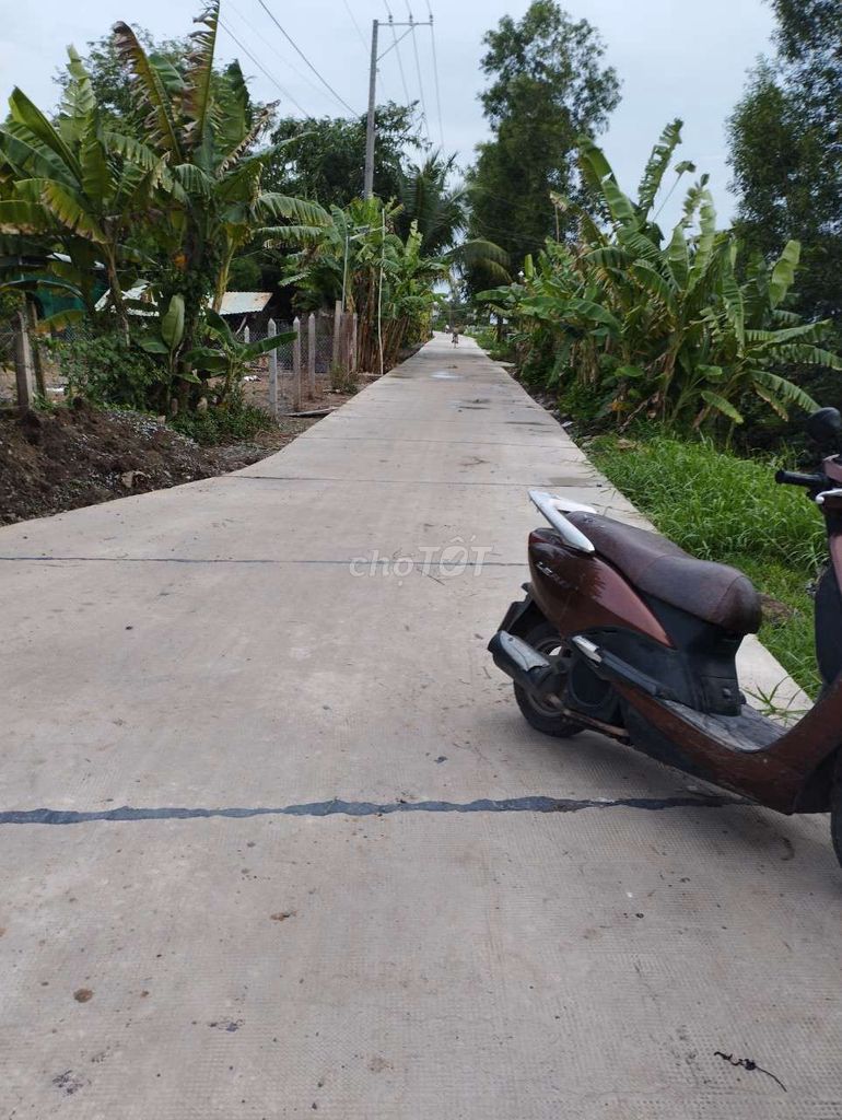 4151929 ảnh đại diện 1