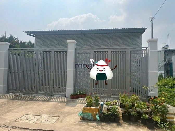 4150738 ảnh đại diện 1