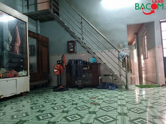 4155002 ảnh đại diện 1