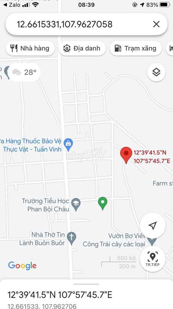 4154311 ảnh đại diện 1