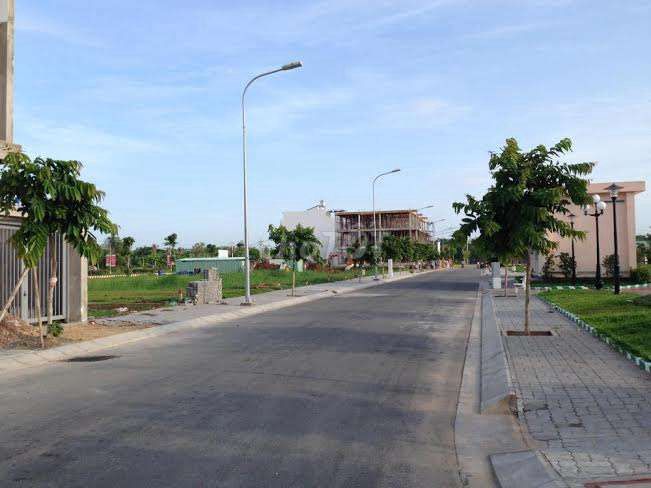 4155412 ảnh đại diện 1