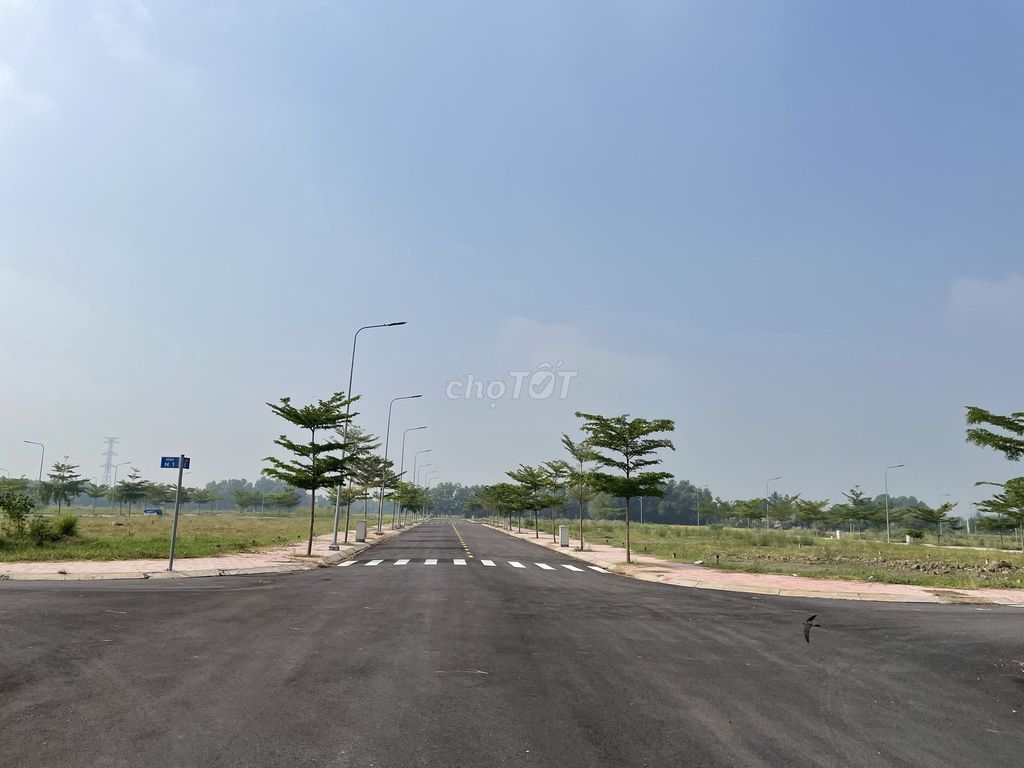 4156412 ảnh đại diện 1