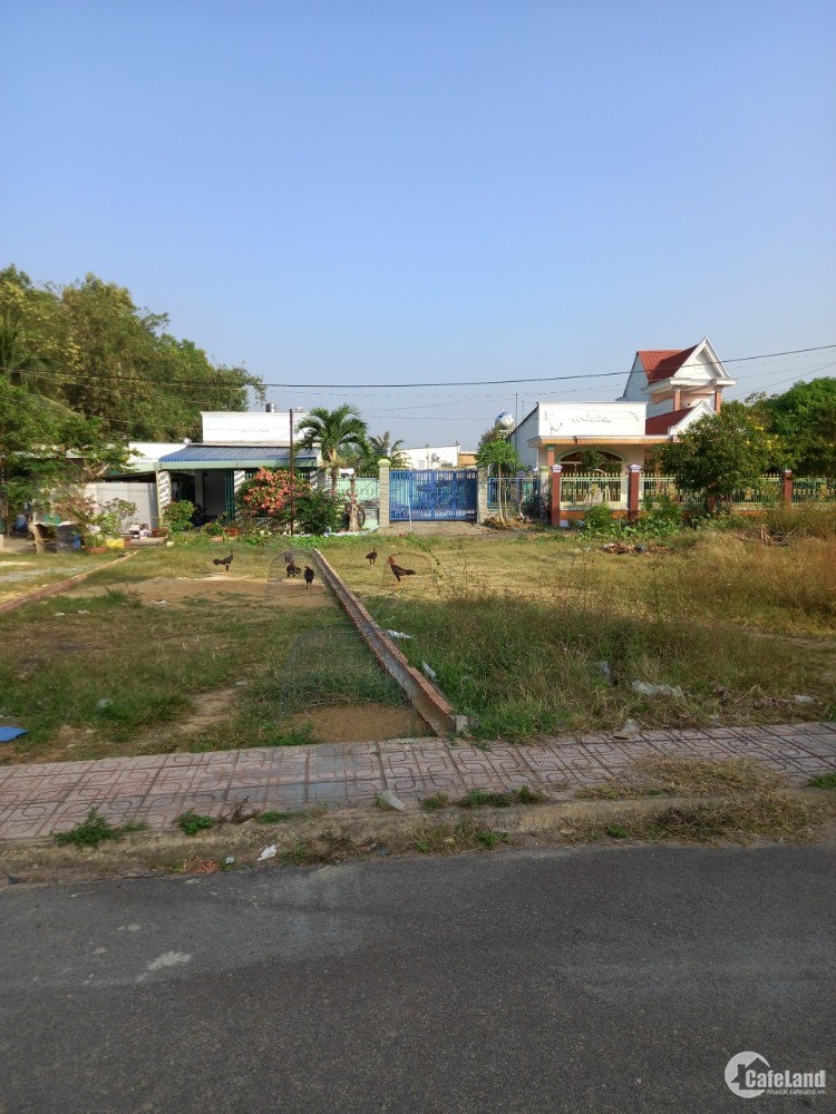 4153935 ảnh đại diện 1