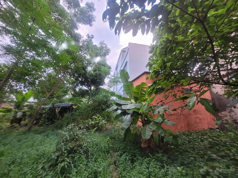 4155195 ảnh đại diện 1