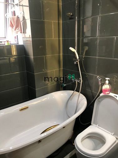 4156131 ảnh đại diện 2
