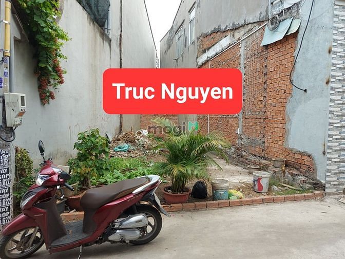 4155008 ảnh đại diện 1