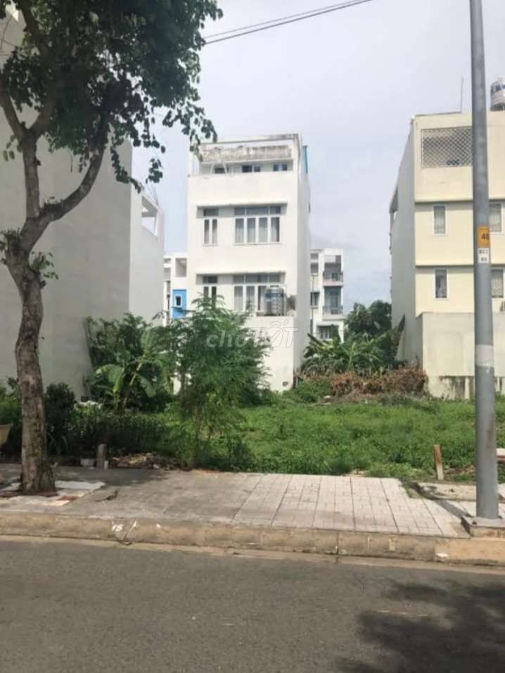 4155412 ảnh đại diện 1