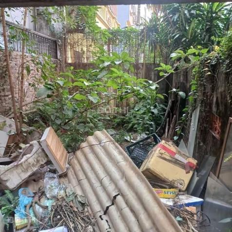 4156746 ảnh đại diện 1