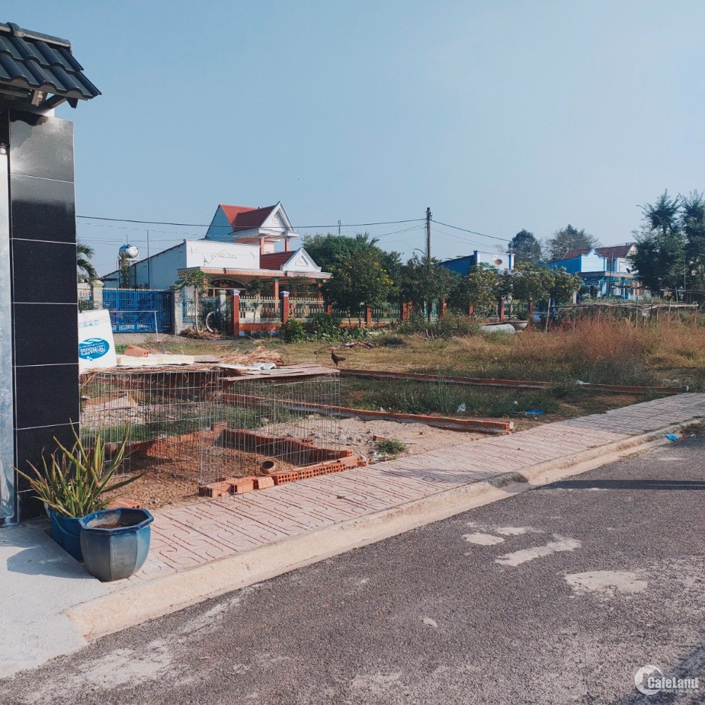 4153935 ảnh đại diện 1