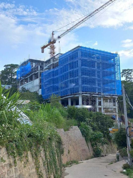 4154989 ảnh đại diện 1
