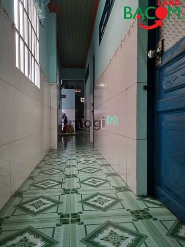 4155002 ảnh đại diện 2