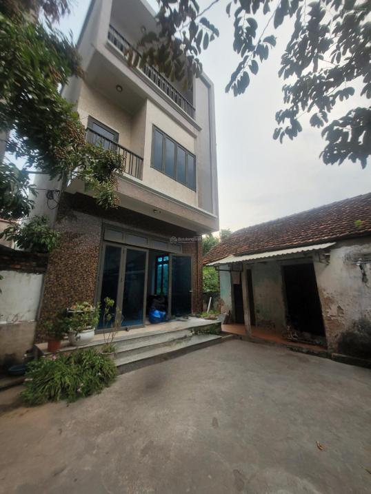 4155195 ảnh đại diện 1