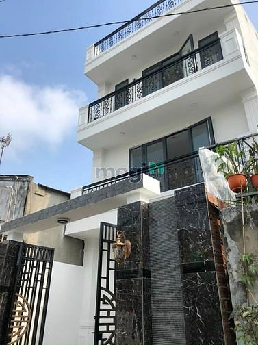 4154757 ảnh đại diện 1