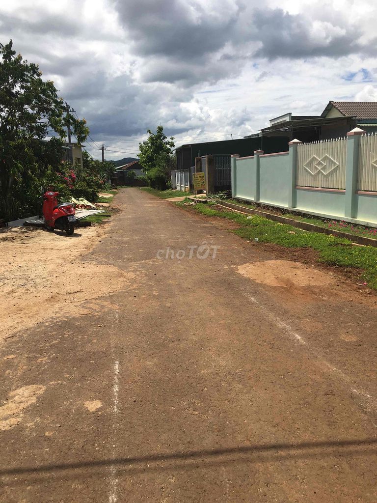4154311 ảnh đại diện 2