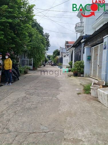 4155002 ảnh đại diện 1