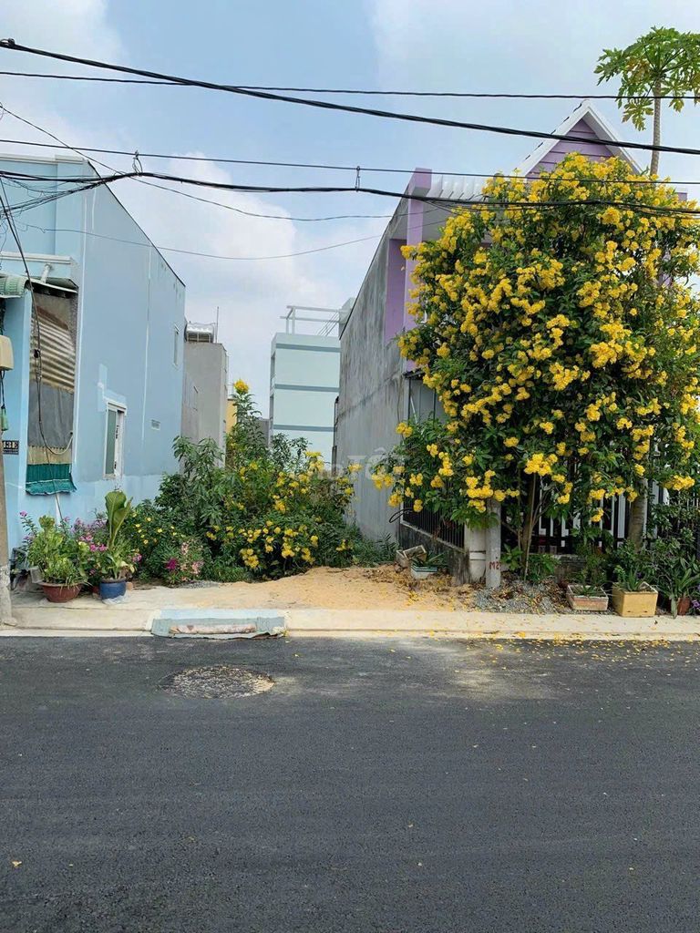 4158374 ảnh đại diện 1