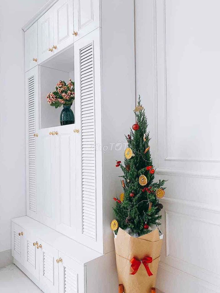 4159854 ảnh đại diện 1