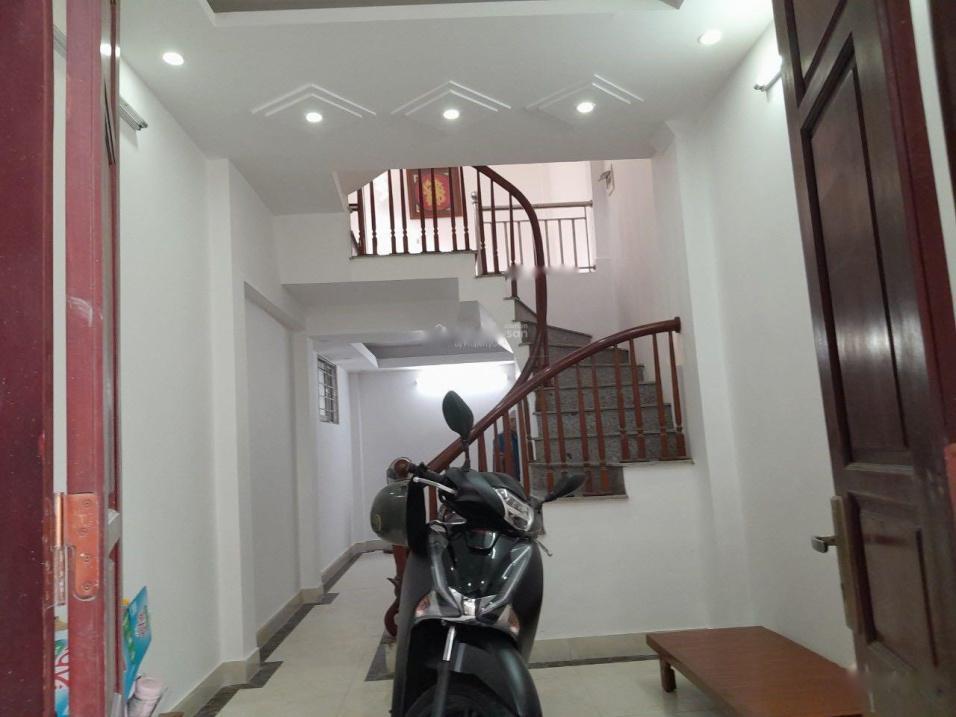 4157651 ảnh đại diện 2