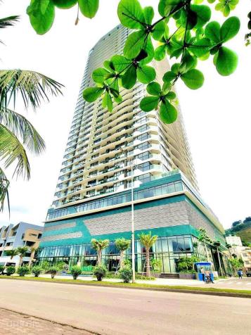 4157680 ảnh đại diện 1