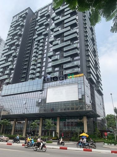 4157478 ảnh đại diện 2