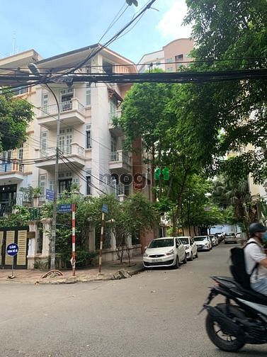 4157646 ảnh đại diện 2