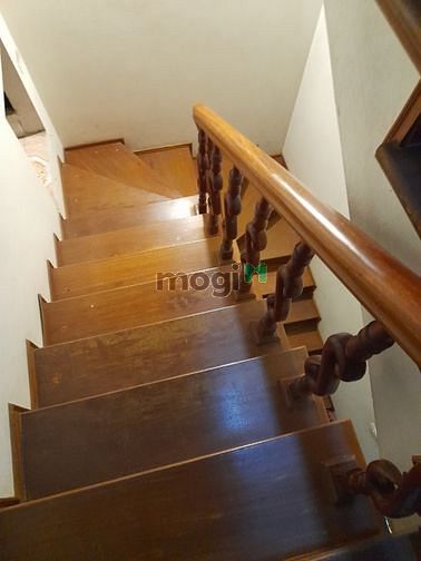 4157405 ảnh đại diện 1