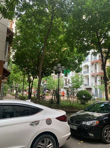 4157646 ảnh đại diện 1