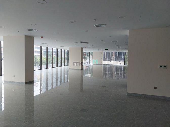 4157478 ảnh đại diện 1