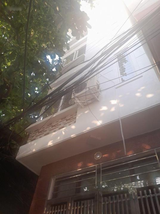 4157651 ảnh đại diện 1