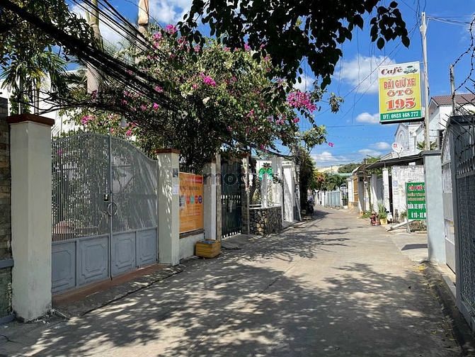 4160604 ảnh đại diện 1