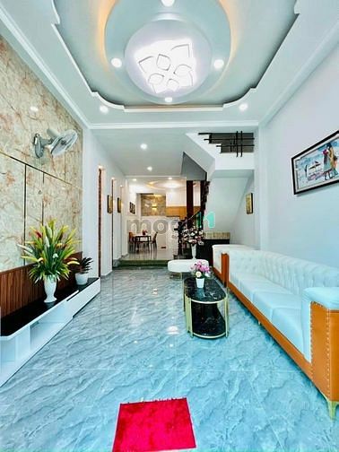 4162818 ảnh đại diện 1