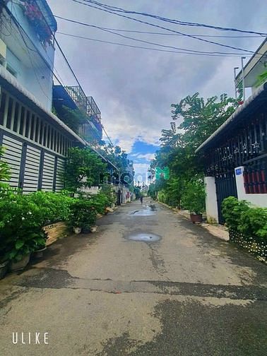 4162220 ảnh đại diện 1