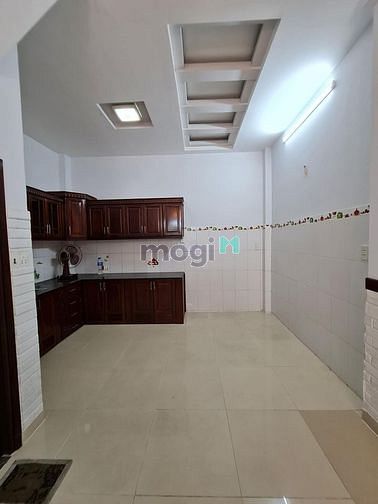 4160327 ảnh đại diện 1